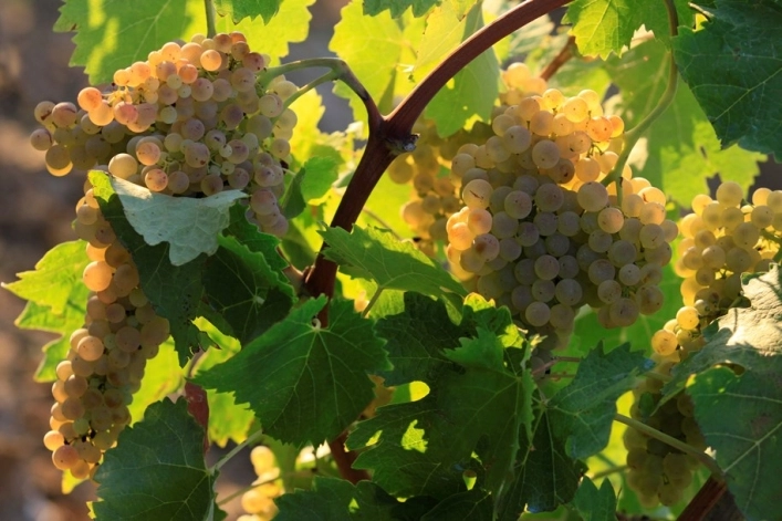 zobacz camping - zdjęcie 15