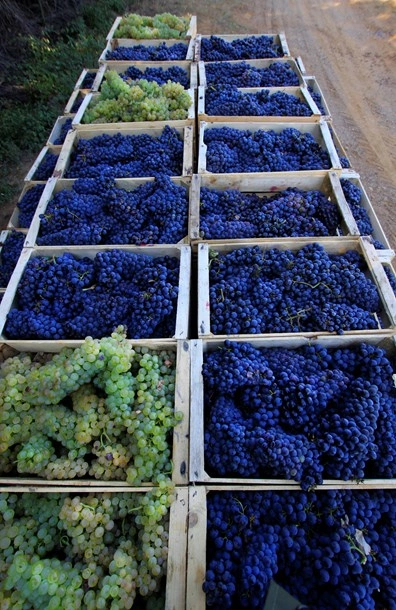 zobacz camping - zdjęcie 14