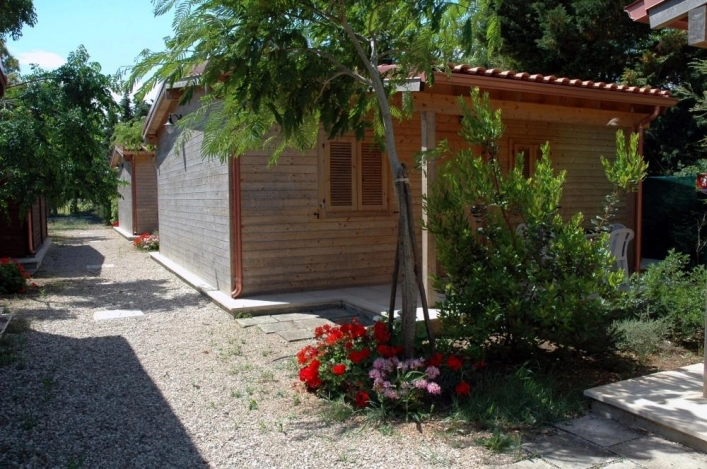 zobacz camping - zdjęcie 23