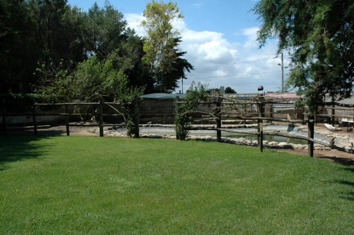 zobacz camping - zdjęcie 22