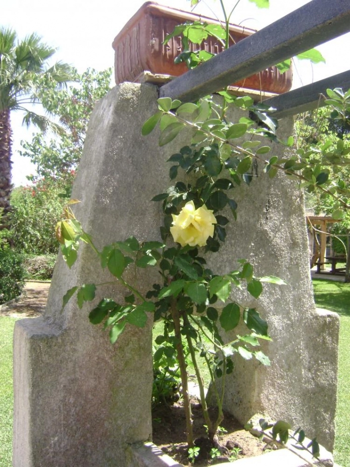 zobacz camping - zdjęcie 21