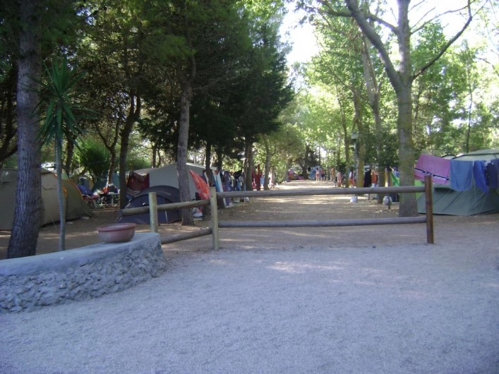 zobacz camping - zdjęcie 19