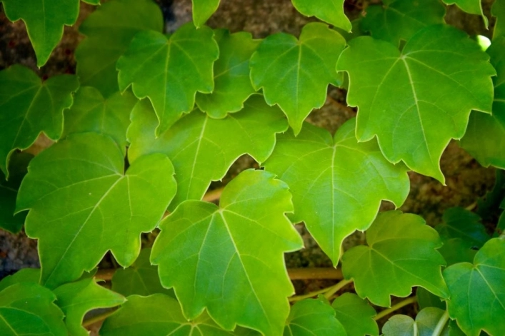 zobacz camping - zdjęcie 14