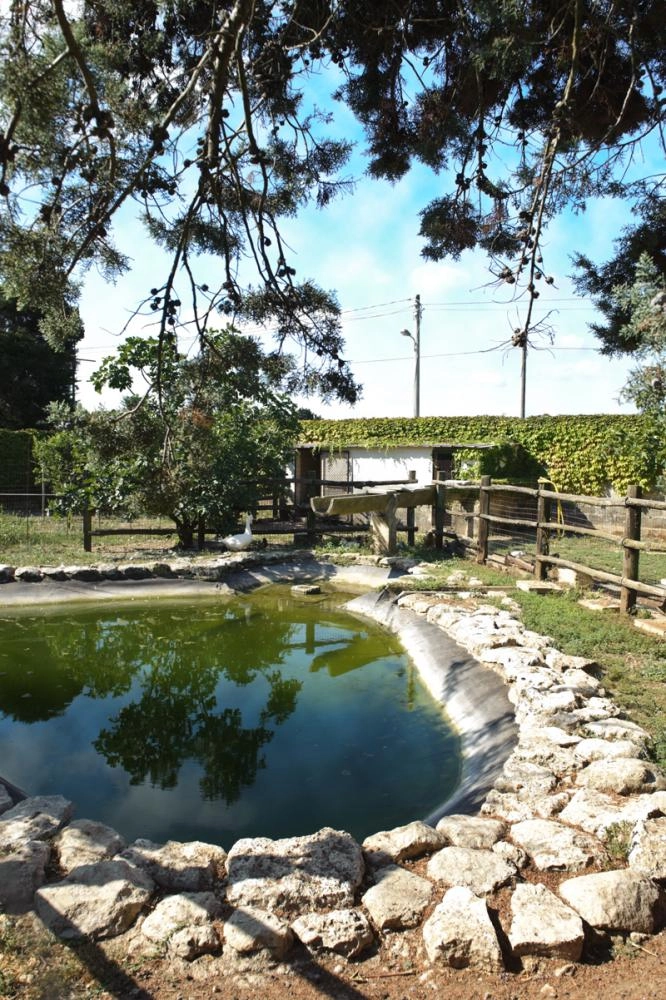 zobacz camping - zdjęcie 10