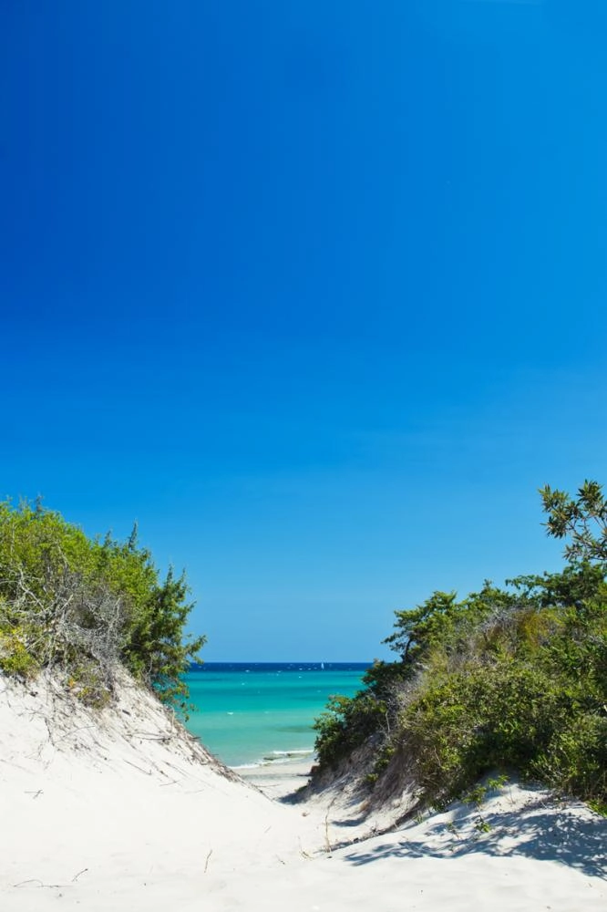 zobacz camping - zdjęcie 7