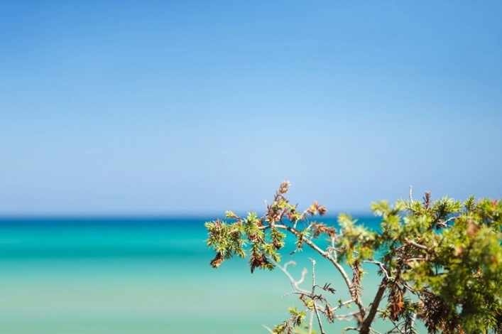 zobacz camping - zdjęcie 5