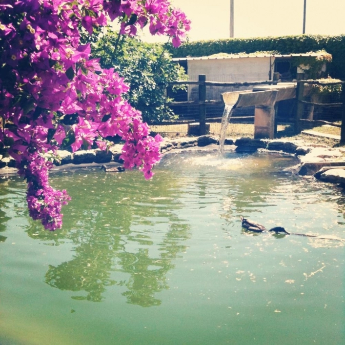 Agriturismo Salos - zdjęcie 1