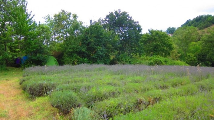 zobacz camping - zdjęcie 6