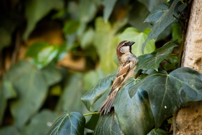 zobacz camping - zdjęcie 2