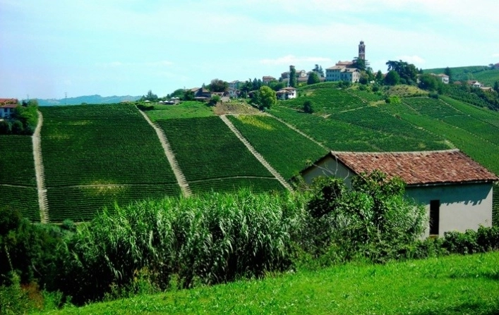 Ai Ciuvin Agriturismo e Camping - zdjęcie 2