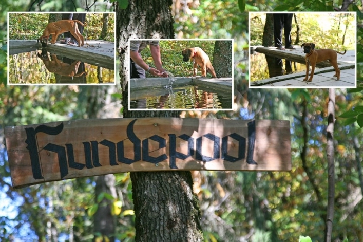 zobacz camping - zdjęcie 19