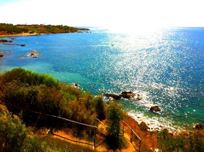 zobacz camping - zdjęcie 15