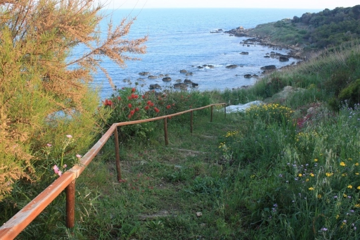 zobacz camping - zdjęcie 13