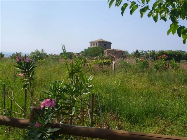 zobacz camping - zdjęcie 7