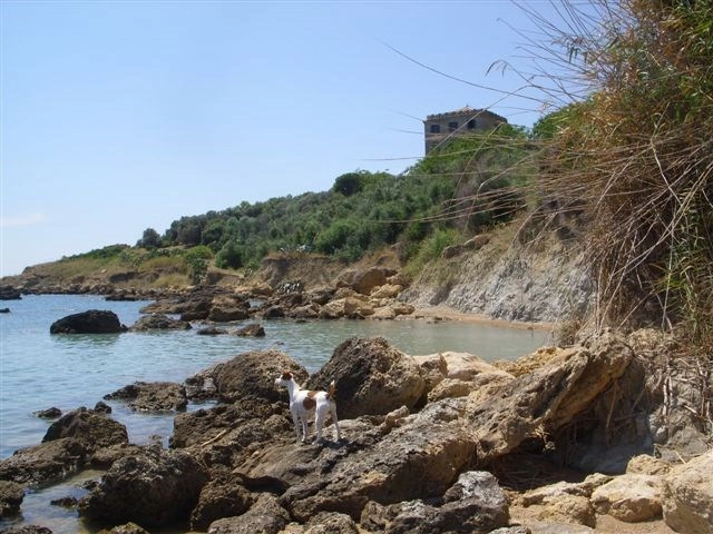 zobacz camping - zdjęcie 6