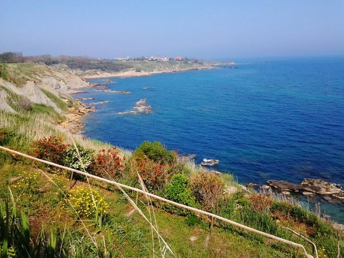 Azienda Agrituristica Torre Scifo - zdjęcie 3