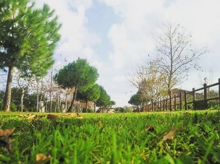 Azienda Agrituristica Torre Scifo - zdjęcie 1