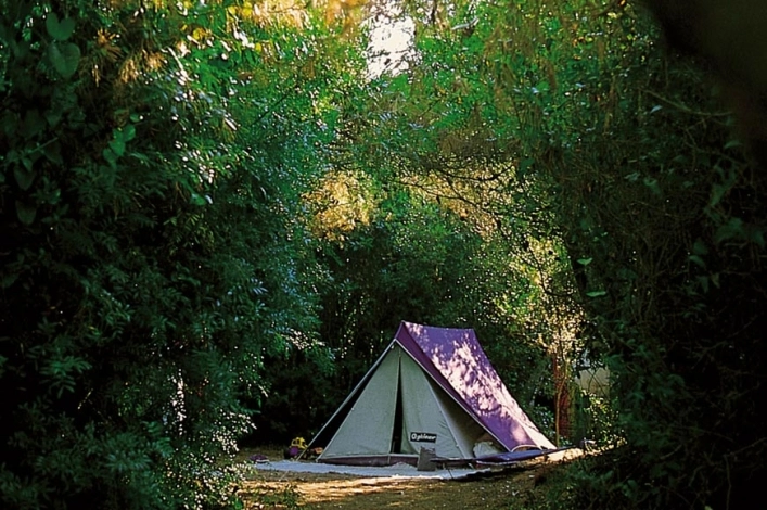 zobacz camping - zdjęcie 12