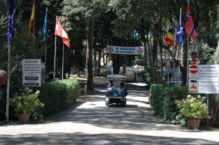 zobacz camping - zdjęcie 25