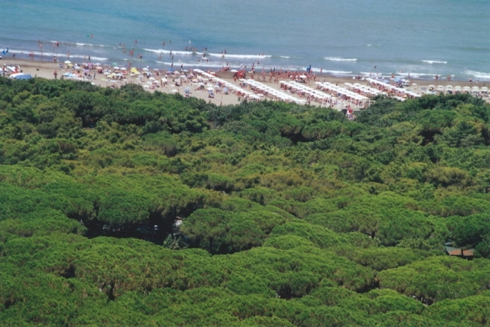 zobacz camping - zdjęcie 20