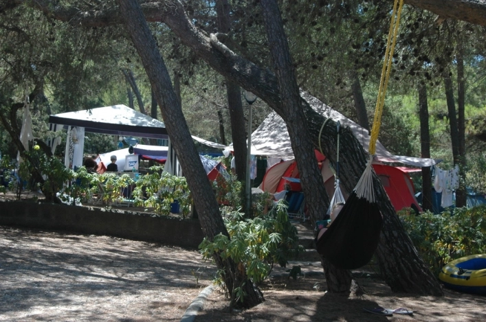 zobacz camping - zdjęcie 12