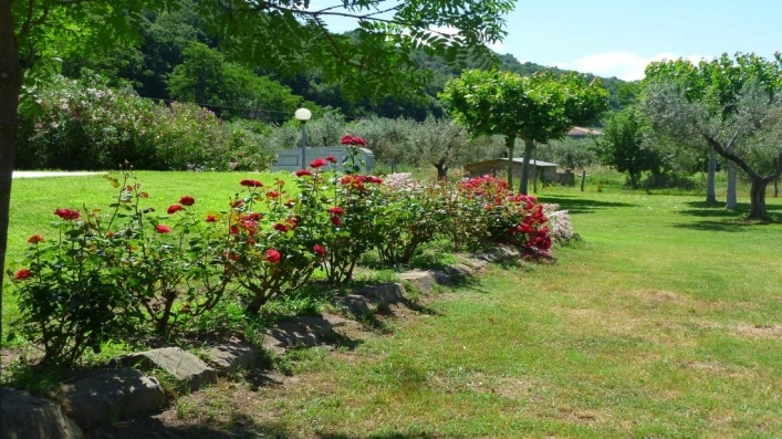 zobacz camping - zdjęcie 11