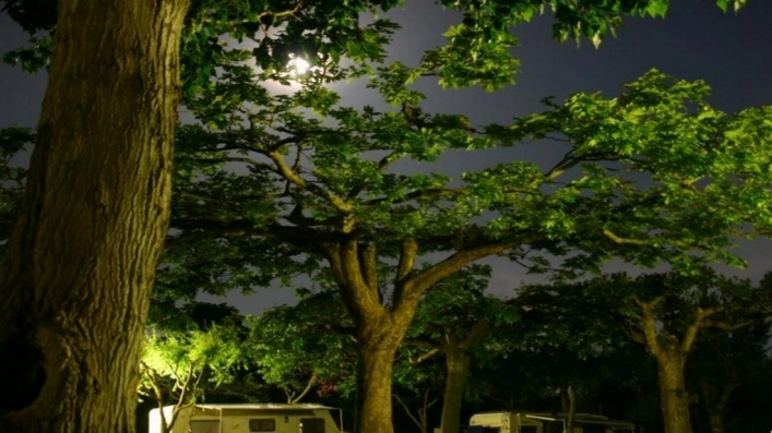 zobacz camping - zdjęcie 10