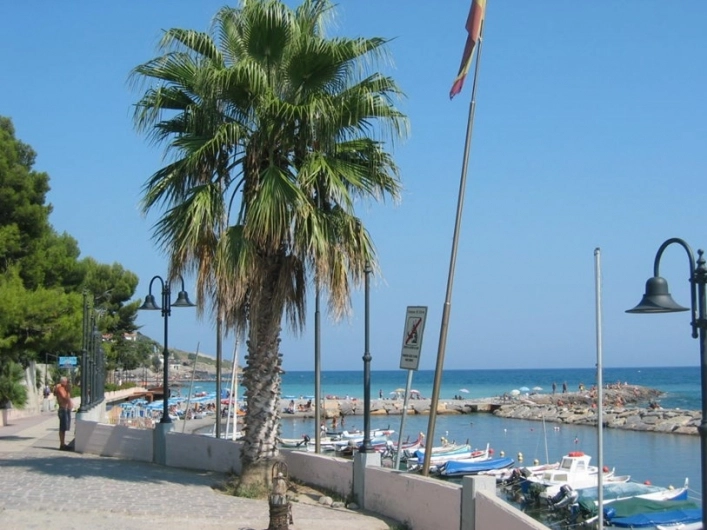 zobacz camping - zdjęcie 16