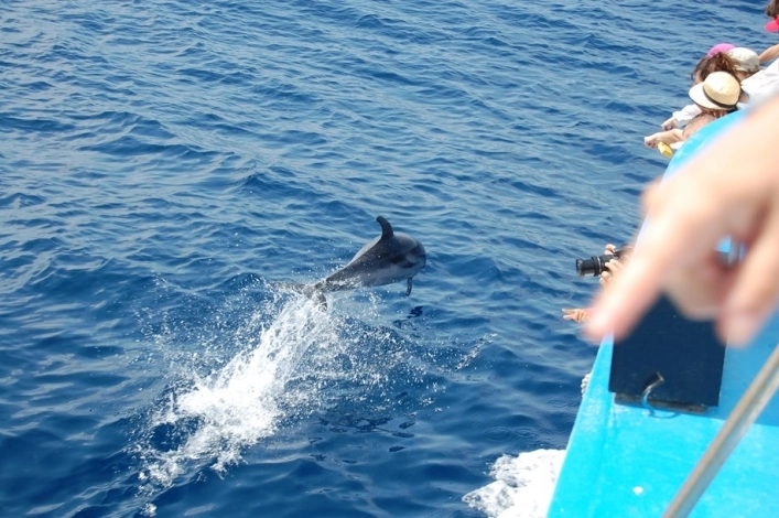 zobacz camping - zdjęcie 8