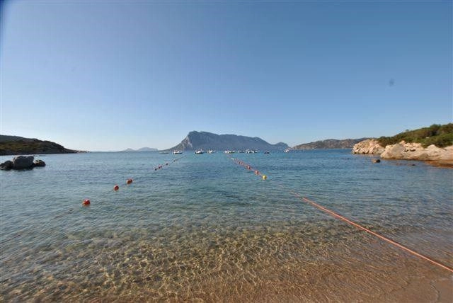 zobacz camping - zdjęcie 29