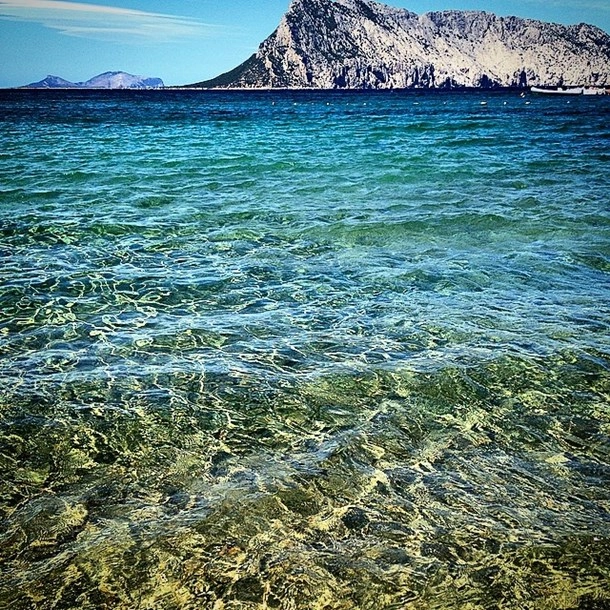 zobacz camping - zdjęcie 28