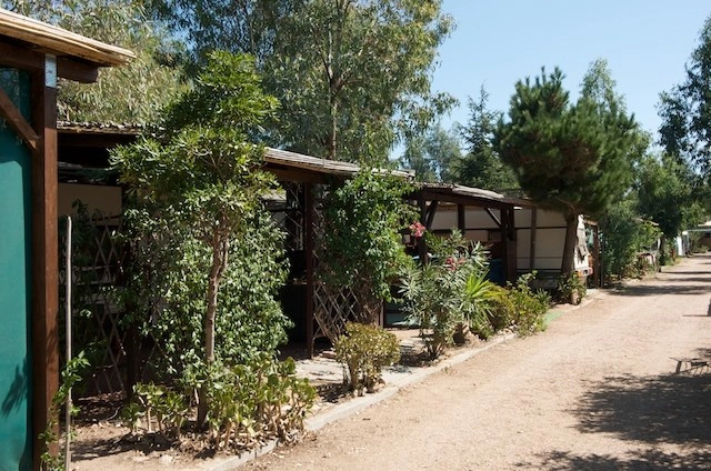 zobacz camping - zdjęcie 26