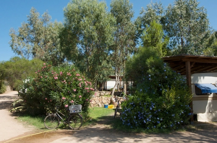 zobacz camping - zdjęcie 23