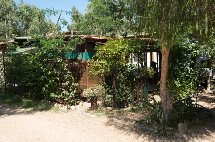 zobacz camping - zdjęcie 18