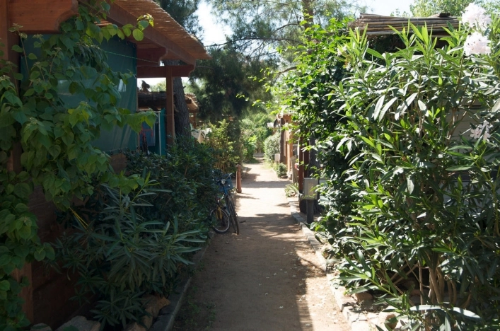 zobacz camping - zdjęcie 14