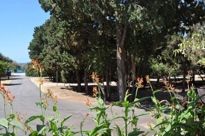 zobacz camping - zdjęcie 13