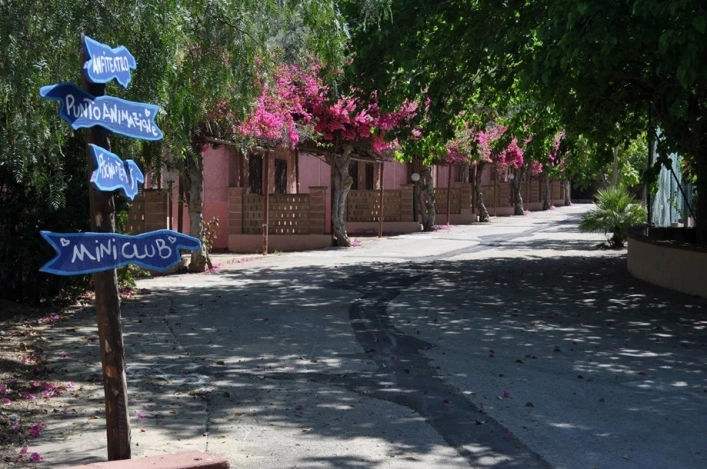 zobacz camping - zdjęcie 12