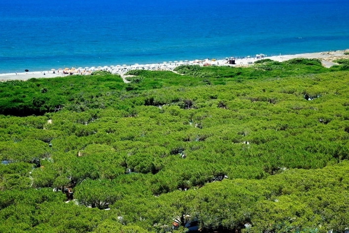 zobacz camping - zdjęcie 24