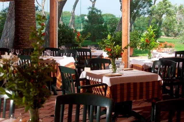 zobacz camping - zdjęcie 14