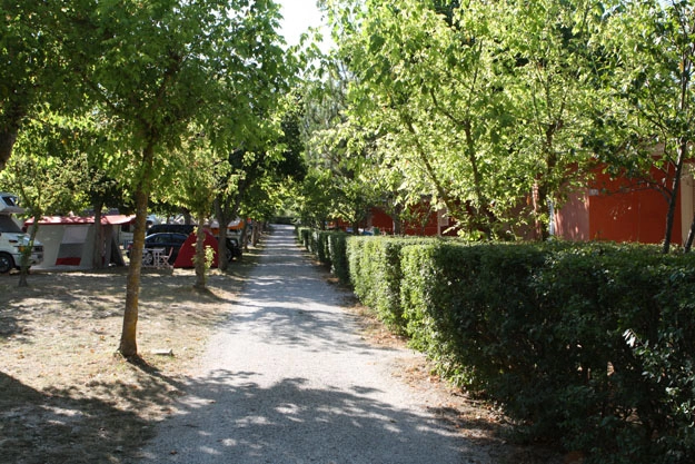 zobacz camping - zdjęcie 11