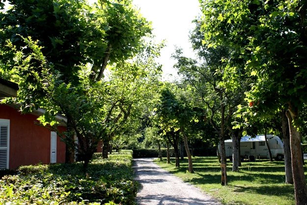 zobacz camping - zdjęcie 7