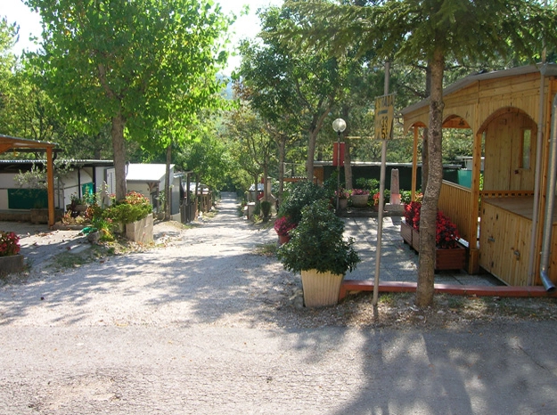 zobacz camping - zdjęcie 4