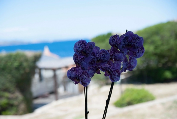 zobacz camping - zdjęcie 8