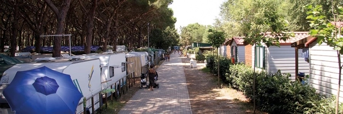 zobacz camping - zdjęcie 18