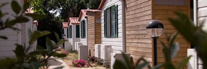 zobacz camping - zdjęcie 8