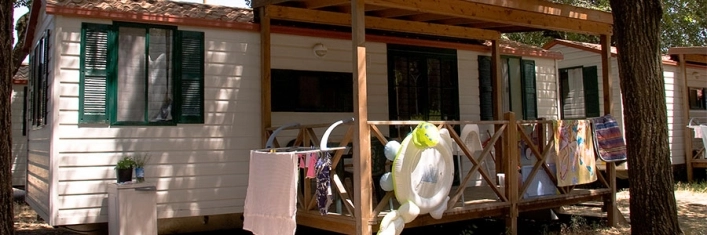 zobacz camping - zdjęcie 6