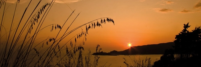 zobacz camping - zdjęcie 5