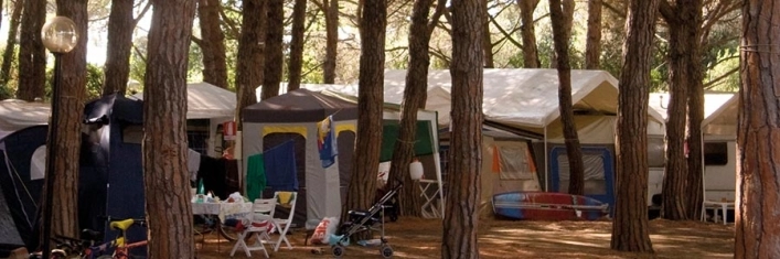 zobacz camping - zdjęcie 1