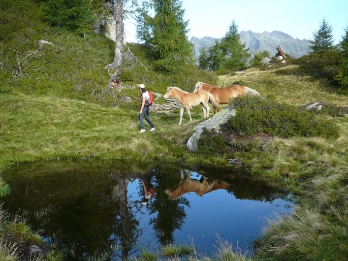 zobacz camping - zdjęcie 25