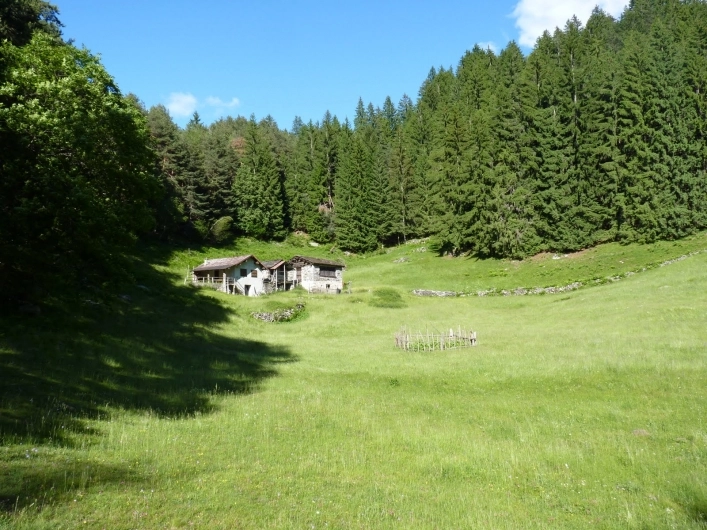 zobacz camping - zdjęcie 22